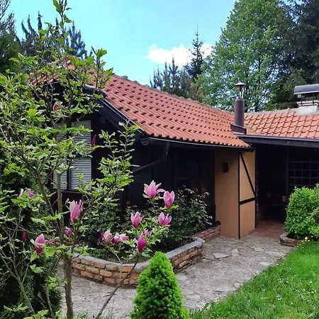 Zlatibor Vila Janjic Exterior foto