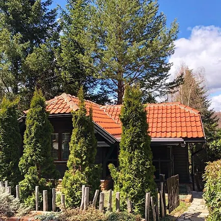 Zlatibor Vila Janjic Exterior foto