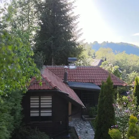 Zlatibor Vila Janjic Exterior foto