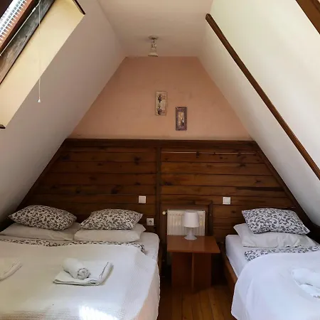Zlatibor Vila Janjic Exterior foto