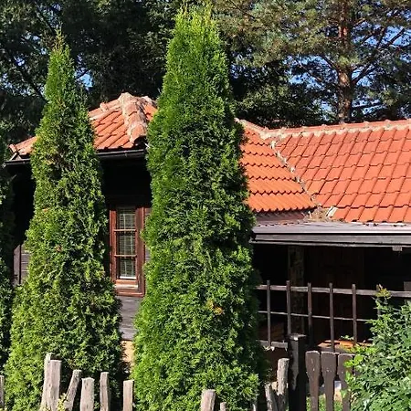 Zlatibor Vila Janjic Exterior foto