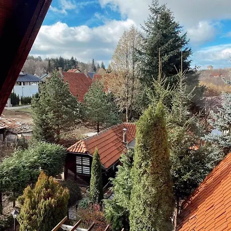 Zlatibor Vila Janjic Exterior foto