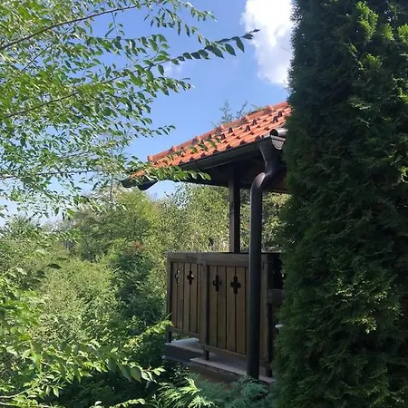 Zlatibor Vila Janjic Exterior foto