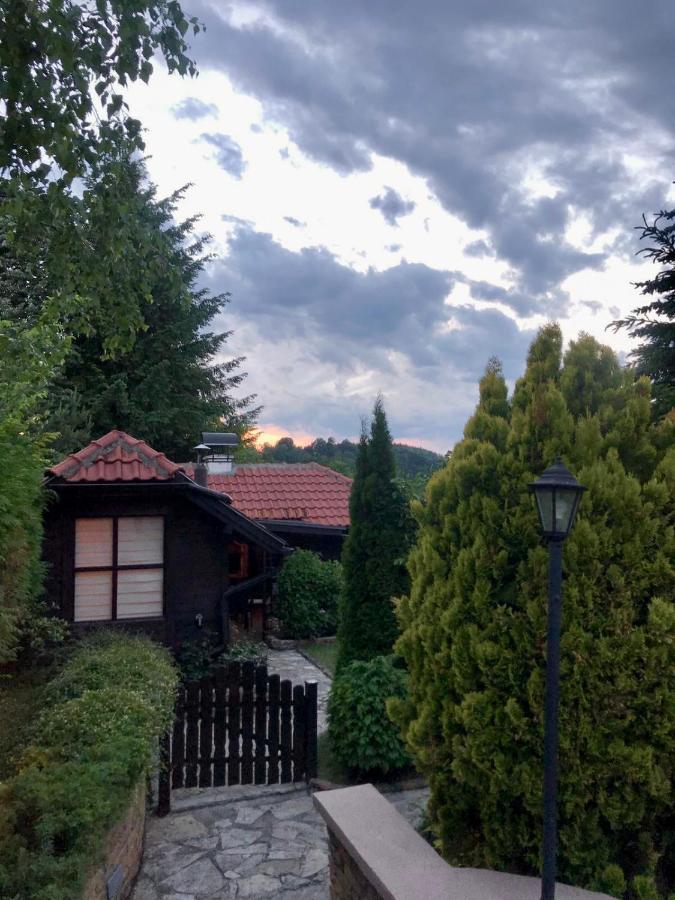 Janjic Zlatibor