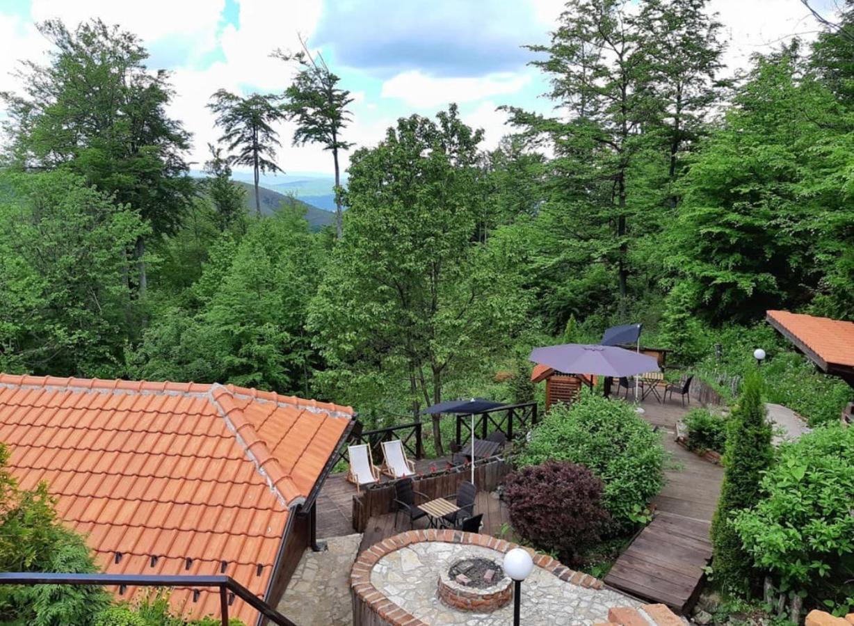 Janjic *