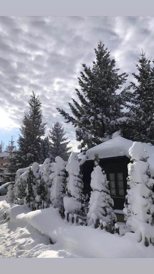 Apartament Janjic