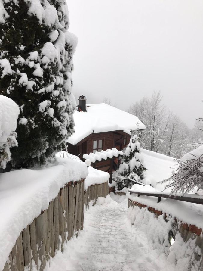 Janjic