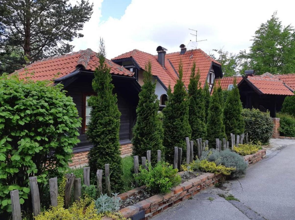 Janjic Zlatibor
