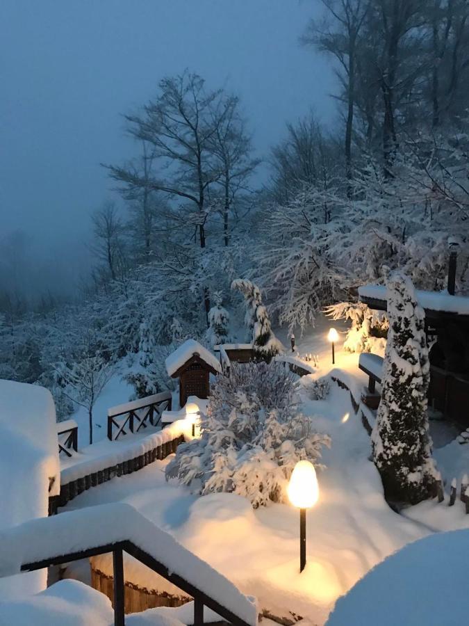 Janjic Zlatibor