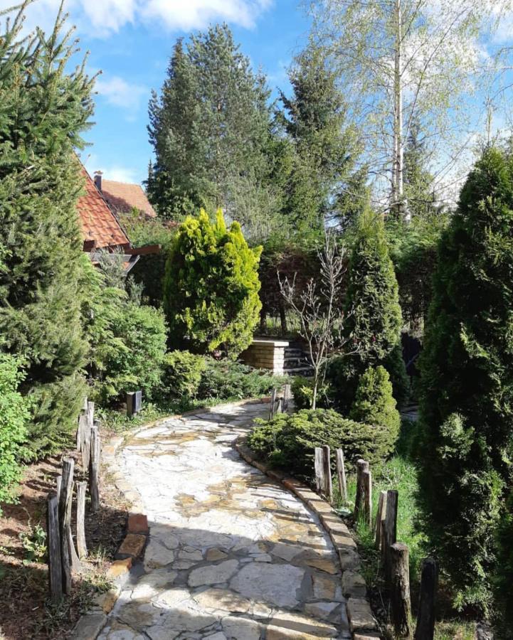 Janjic