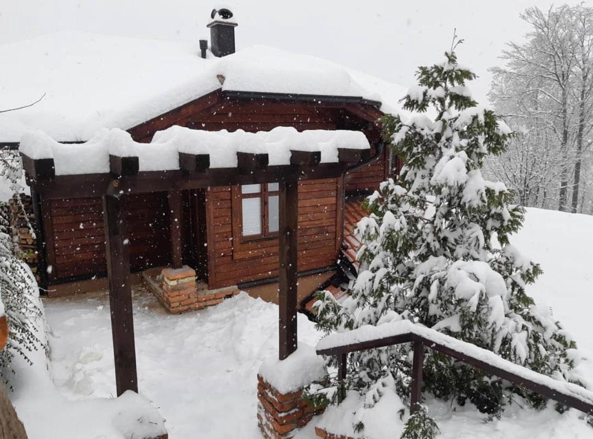 Janjic Apartment Zlatibor