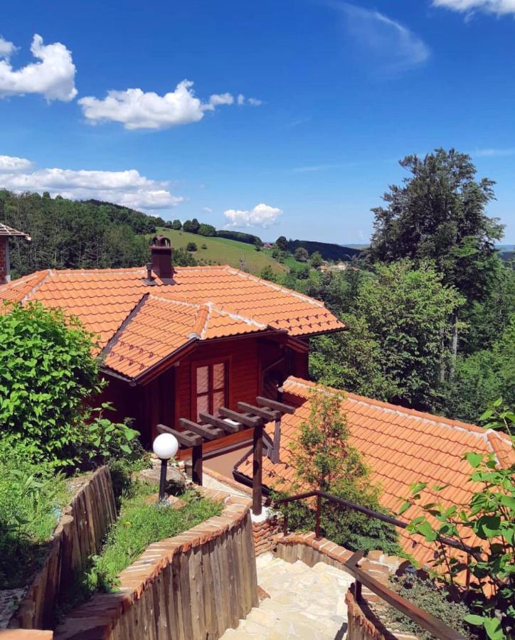 Janjic Zlatibor