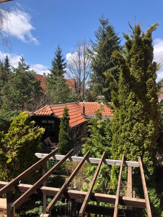 Janjic