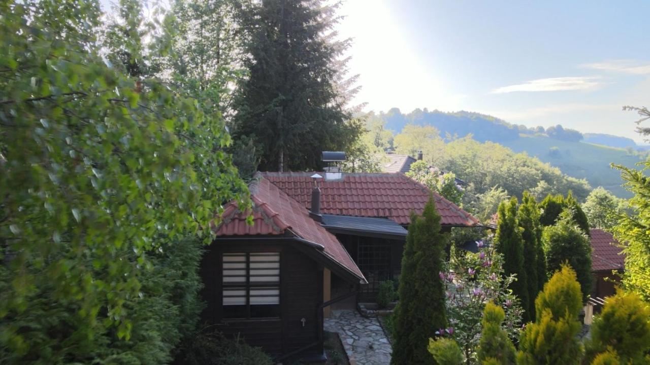 Janjic Apartament *