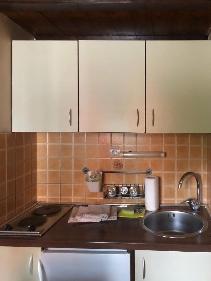 Apartament Janjic Zlatibor