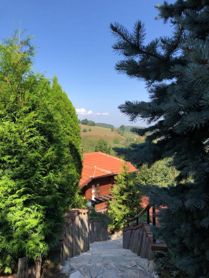 Apartament Janjic Zlatibor