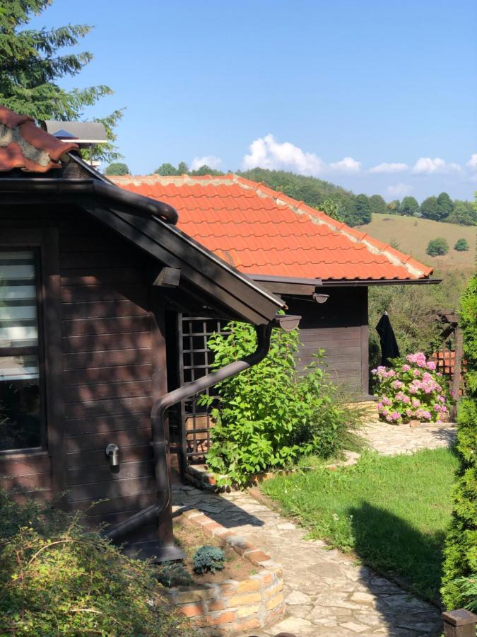 Apartament Janjic