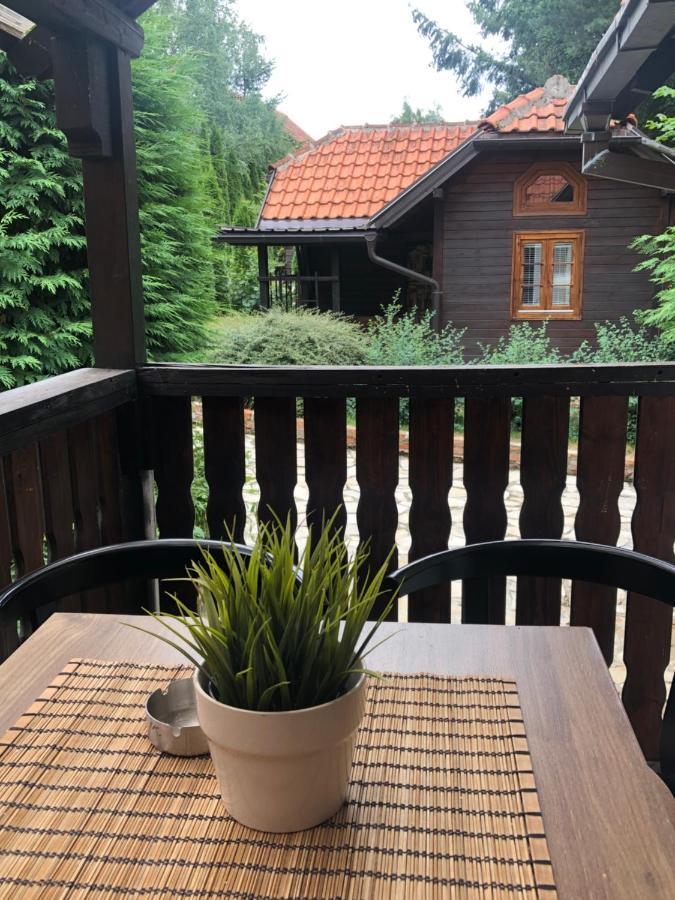 Apartament Janjic *