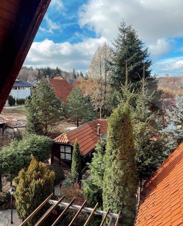 Janjic Zlatibor